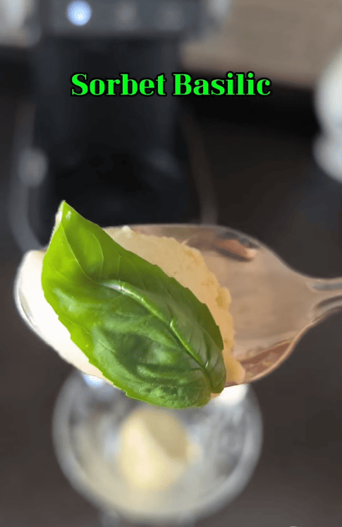 Sorbet Basilic - Recette four Ooni